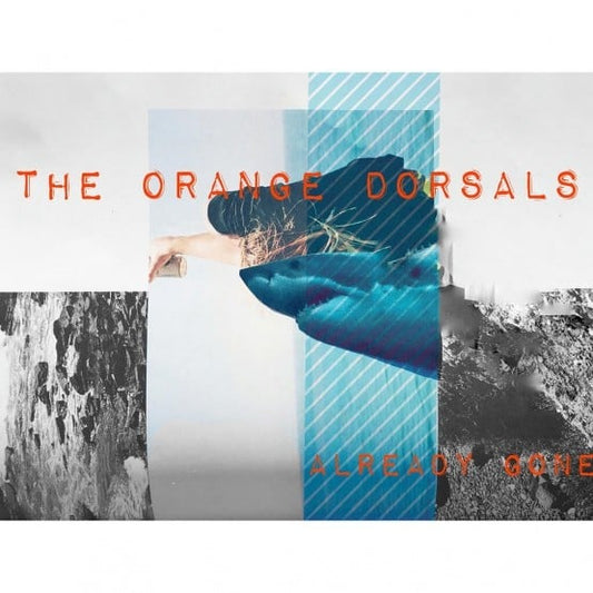 Orange Dorsal