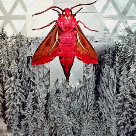 Red Winter